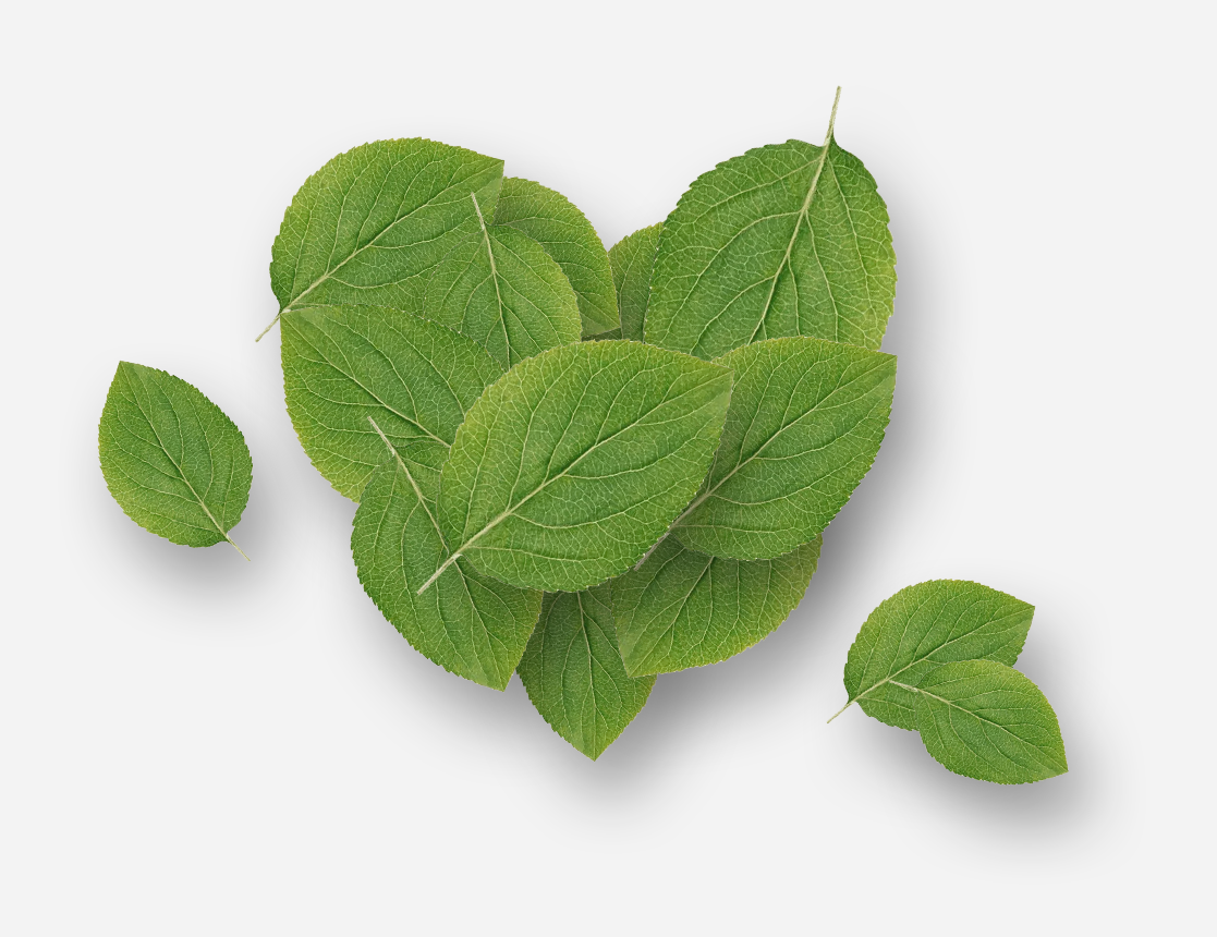 Coeur formé avec des feuilles