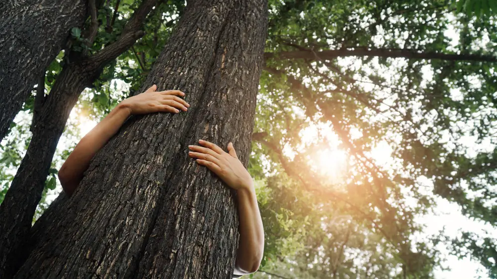 Une femme qui serre un arbre dans une forêt